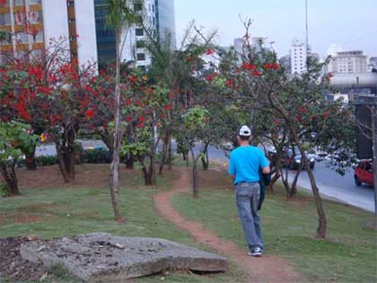 Caminhos