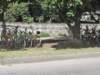 dsc03588_small.jpg