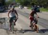 dsc03603_small.jpg