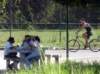 dsc03650_small.jpg