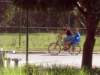 dsc03653_small.jpg