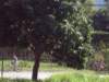 dsc03656_small.jpg