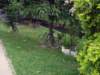 dsc02951_small.jpg