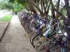 dsc02954_small.jpg
