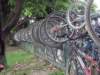dsc02958_small.jpg