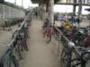 dsc02972_small.jpg