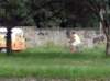 dsc03021_small.jpg