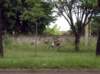 dsc03025_small.jpg