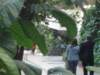 ccc141_small.jpg