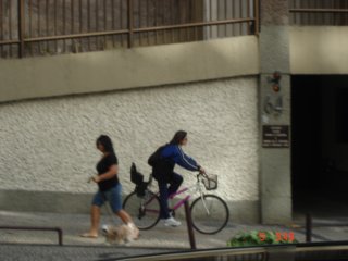 ccc147.jpg