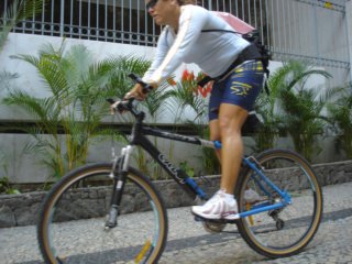 ccc268.jpg