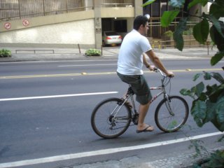 ccc295.jpg