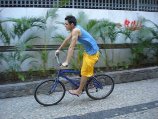 ccc329.jpg