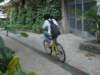 ccc379_small.jpg
