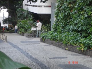 ccc571.jpg