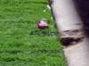 dsc05735_small.jpg