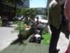 dsc05737_small.jpg