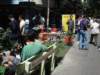 dsc05740_small.jpg