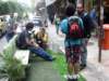 dsc05789_small.jpg