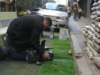 dsc07367_small.jpg