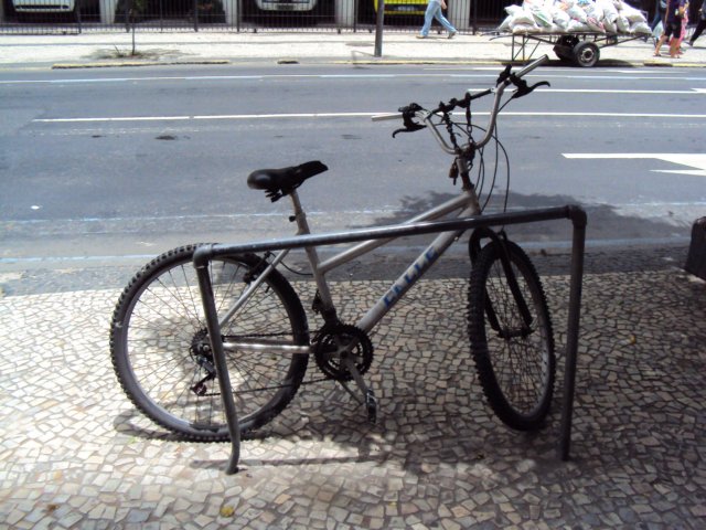 est231.jpg