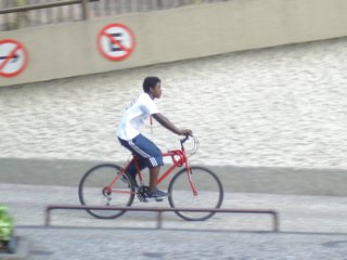 ccc335.jpg