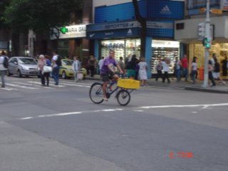 ccfmi1100.jpg