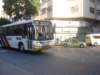 ccfmi48_small.jpg