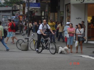 ccfmi921.jpg