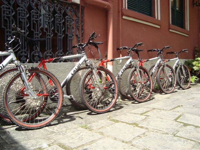 photo.jpg