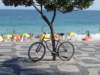 dsc05086_small.jpg
