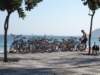 dsc05087_small.jpg