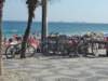 dsc05091_small.jpg