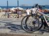 dsc05100_small.jpg
