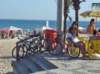 dsc05101_small.jpg