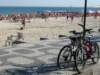 dsc05103_small.jpg