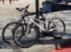 dsc05108_small.jpg