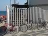 dsc05111_small.jpg