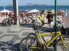 dsc05116_small.jpg
