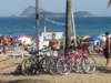 dsc05135_small.jpg