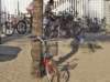 dsc05148_small.jpg