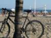 dsc05149_small.jpg