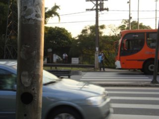 dsc06017.jpg