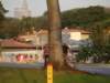 dsc06021_small.jpg