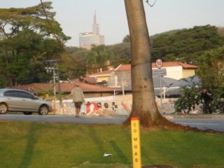 dsc06022.jpg