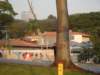 dsc06023_small.jpg