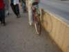 dsc06026_small.jpg