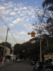 dsc06033.jpg