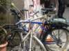 dsc06059_small.jpg